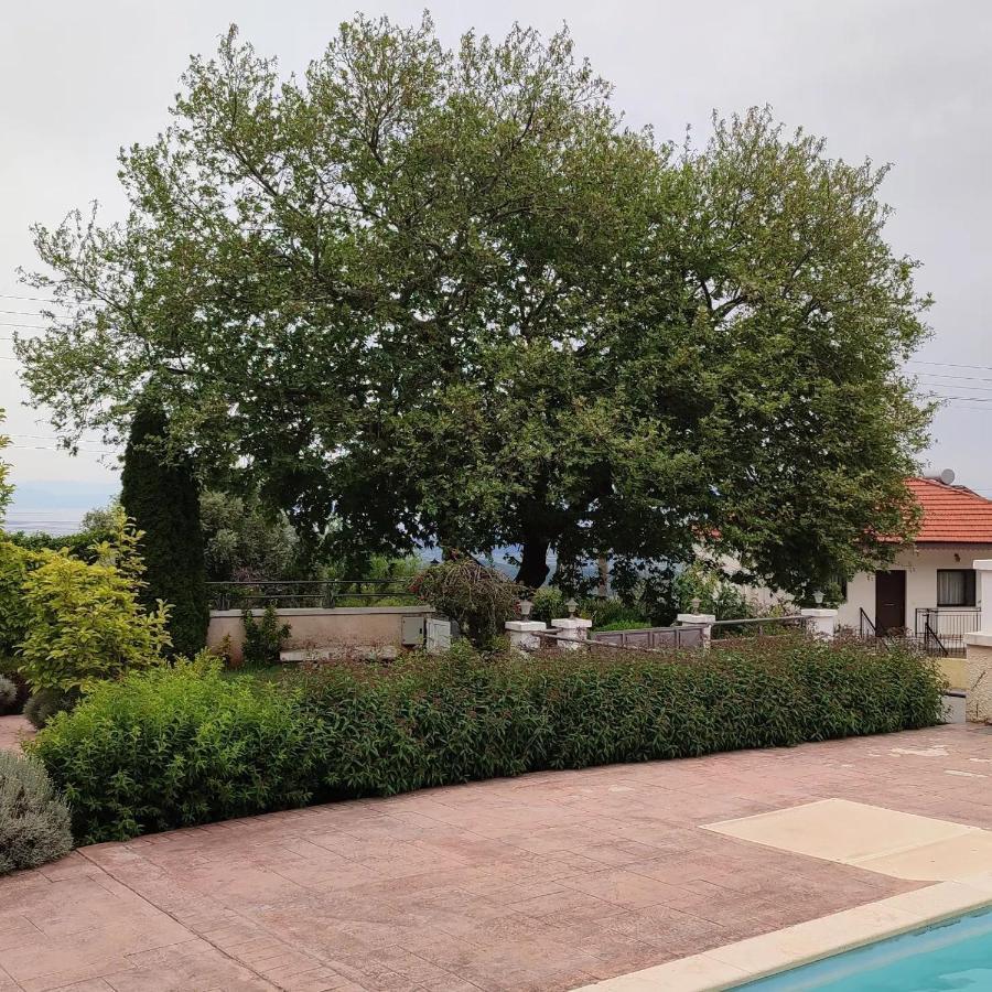Guesthouse Michobeis Kamarina ภายนอก รูปภาพ